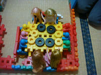 DSC08800.JPG
