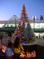 DSC08914.JPG