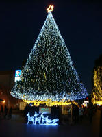 DSC08930.JPG