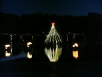 DSC08941.JPG