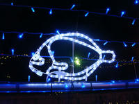 DSC08950.JPG
