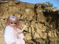 DSC09065.JPG