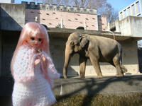 DSC09070.JPG