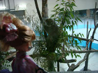 DSC09085.JPG