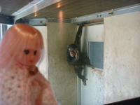 DSC09102.JPG
