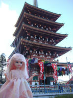 DSC09320.JPG