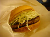DSC09334.JPG