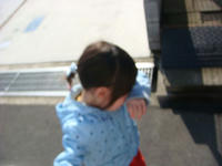 DSC09391.JPG
