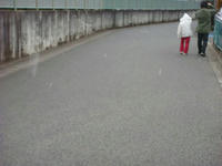 DSC09434.JPG