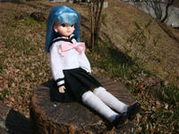 DSC09461.JPG