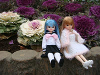 DSC09477.JPG