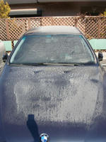 DSC09524.JPG