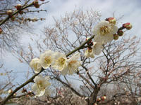 DSC09659.JPG