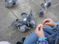 DSC09689.JPG