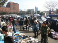 DSC09713.JPG