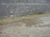 DSC09779.JPG
