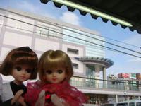 DSC09802.JPG