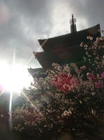 DSC09871.JPG