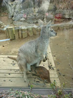 DSC00144.JPG