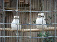 DSC00150.JPG