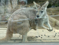 DSC00156.JPG