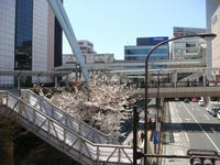 DSC00196.JPG