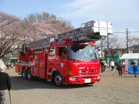 DSC00250.JPG