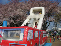 DSC00252.JPG