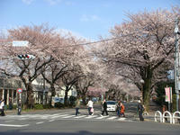 DSC00255.JPG