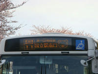 DSC00256.JPG