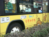 DSC00257.JPG