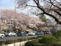 DSC00261.JPG