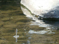 DSC00285.JPG