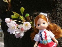 DSC00319.JPG