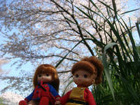 DSC00320.JPG