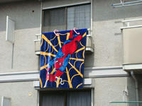 DSC00356.JPG