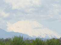 DSC00373.JPG