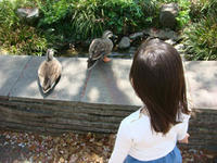 DSC00382.JPG