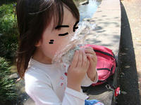 DSC00385.JPG