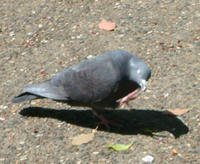 DSC00387.JPG