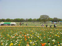 DSC00475.JPG