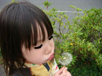 DSC00529.JPG