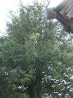 DSC00551.JPG