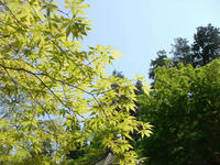 DSC00556.JPG