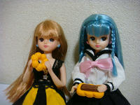 DSC00566.JPG