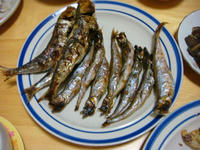 DSC00686.JPG