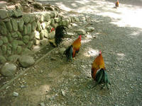 DSC00772.JPG