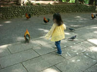 DSC00773.JPG