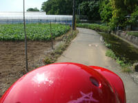 DSC00777.JPG