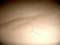 DSC00787.JPG
